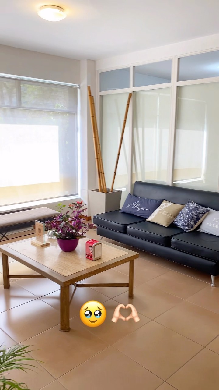 La sala de espera de INTUS: sillón con almohadones, mesa ratona con una planta y ventanal con cortina